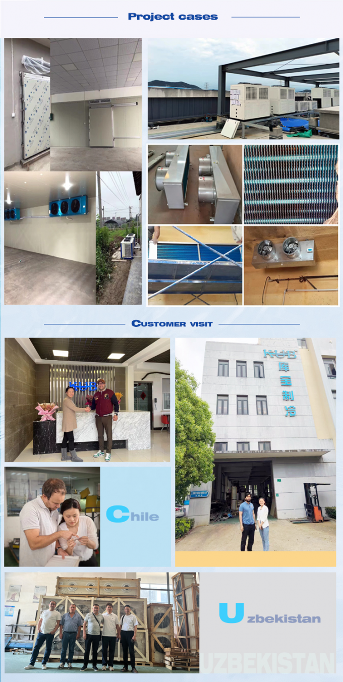 06NW2250S7NA-A00 Carlyle Screw Compressor 400V 50Hz 10